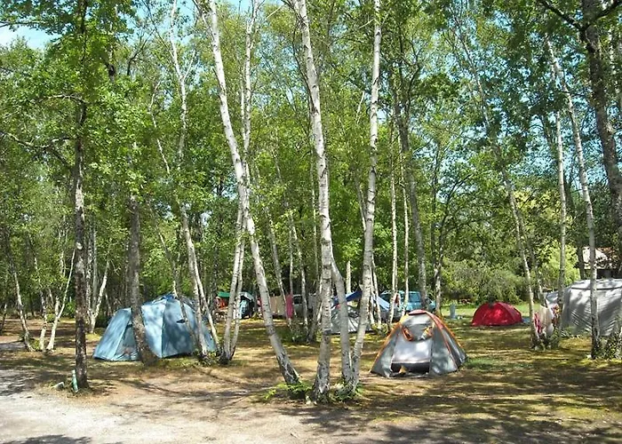 Camping Liberte Camping Lacanau